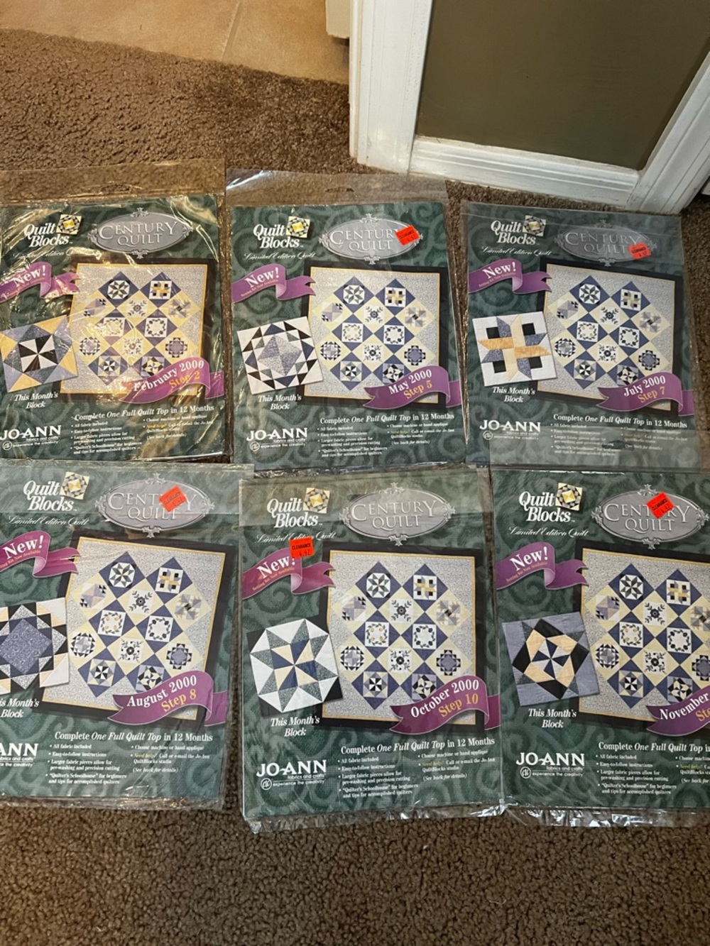Block of the Month - 6 Blocks Century Quilt